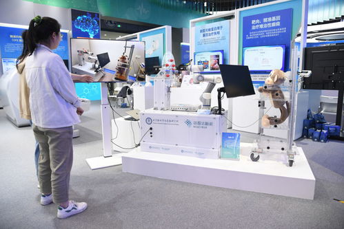 從“中國的硅谷”到“世界的中關(guān)村” 2024論壇解碼科技創(chuàng)新的全球服務(wù)新范式